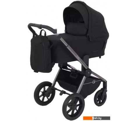  - Детские коляски и аксессуары Rant Flex Pro RA074 2023 (2 в 1, черный) - Flex Pro RA074 2023 (2 в 1, черный)