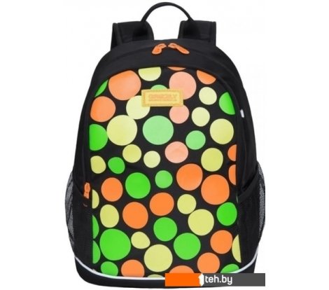  - Рюкзаки Grizzly RG-063-5 (черный) - RG-063-5 (черный)