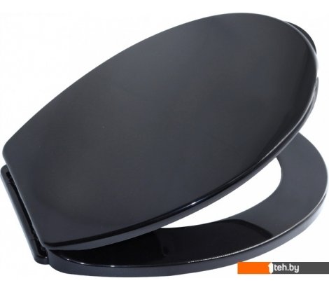  - Сиденья и крышки для унитазов и биде Bisk Iris 08447 (черный) - Iris 08447 (черный)