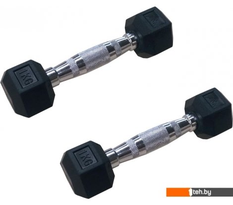 - Гантели, гири, штанги DFC DB001-1 2x1 кг - DB001-1 2x1 кг