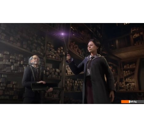  - Игры для приставок PlayStation 5 Hogwarts Legacy - Hogwarts Legacy