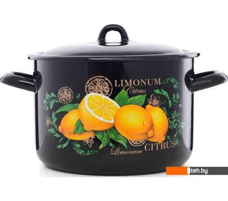  - Кастрюли Эстет Цитрус ЭТ-72903 - Цитрус ЭТ-72903