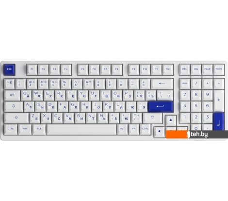  - Клавиатуры Akko 3098N Blue & White (TTC Honey) - 3098N Blue & White (TTC Honey)