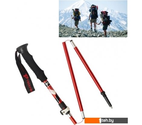  - Палки для скандинавской ходьбы Coyote OG7356R (35 см, красный) - OG7356R (35 см, красный)