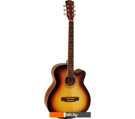  - Гитары Elitaro E4010 SB - E4010 SB