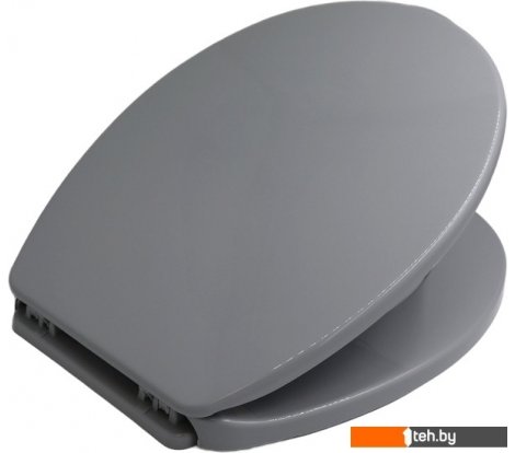  - Сиденья и крышки для унитазов и биде Bisk Iris 08471 (серый) - Iris 08471 (серый)