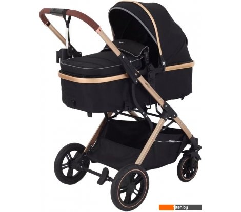  - Детские коляски и аксессуары Rant Basic Pulsar Gold RA160 (2 в 1, black) - Basic Pulsar Gold RA160 (2 в 1, black)