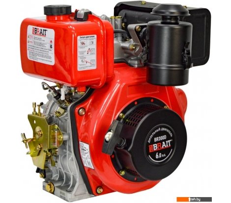  - Двигатели Brait BR300D - BR300D