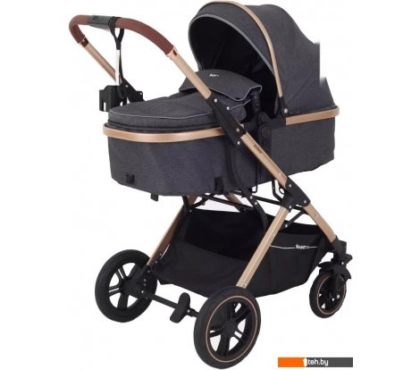  - Детские коляски и аксессуары Rant Basic Pulsar Gold RA160 (2 в 1, grey) - Basic Pulsar Gold RA160 (2 в 1, grey)