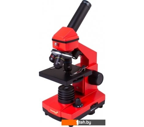  - Игры-опыты, эксперименты Levenhuk Rainbow 2L Plus (апельсин) 69045 - Rainbow 2L Plus (апельсин) 69045