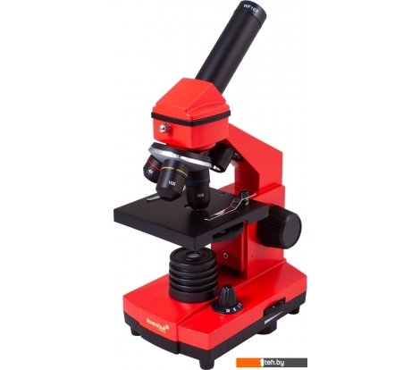  - Игры-опыты, эксперименты Levenhuk Rainbow 2L Plus (апельсин) 69045 - Rainbow 2L Plus (апельсин) 69045