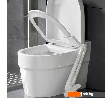  - Аксессуары для ванной и туалета Saniteco TBD06048916 - TBD06048916