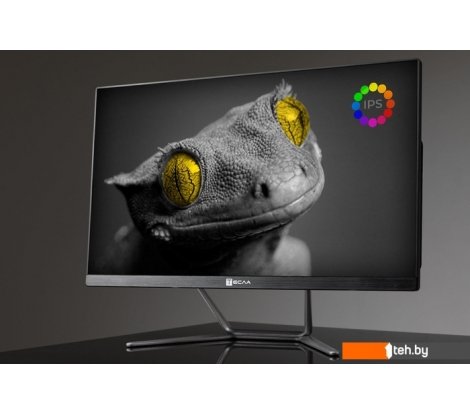  - Моноблоки ТЕСЛА Z24B 2416500 - Z24B 2416500