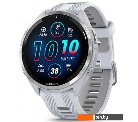  - Умные часы и браслеты Garmin Forerunner 965 (белый/серый) - Forerunner 965 (белый/серый)