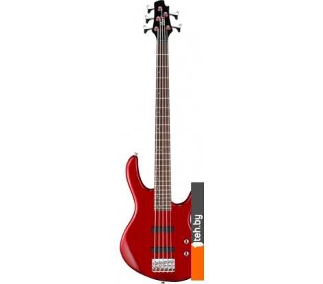  - Гитары Cort Action Bass V Plus TR - Action Bass V Plus TR