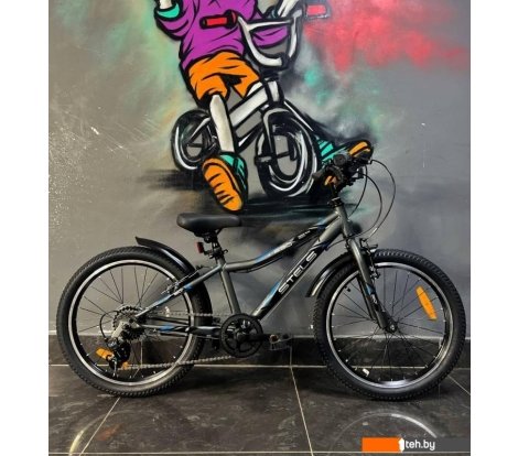  - Детские велосипеды Stels Pilot-230 20 2024 (серый) - Pilot-230 20 2024 (серый)