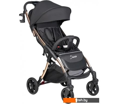  - Детские коляски и аксессуары Farfello Sunrise FS-002 (черный/золото) - Sunrise FS-002 (черный/золото)