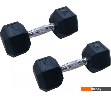  - Гантели, гири, штанги DFC DB001-10 2x10 кг - DB001-10 2x10 кг