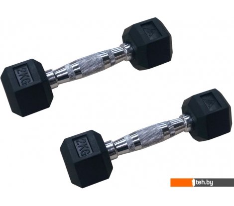  - Гантели, гири, штанги DFC DB001-2 2x2 кг - DB001-2 2x2 кг