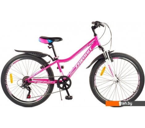  - Велосипеды Favorit Victoria 24VS VIC24V12PN - Victoria 24VS VIC24V12PN