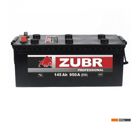  - Автомобильные аккумуляторы Zubr Professional L+ (145 А·ч) - Professional L+ (145 А·ч)