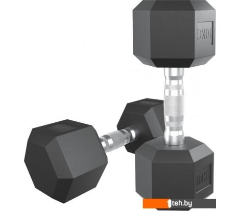 - Гантели, гири, штанги Unixfit DBHEX10 10 кг - DBHEX10 10 кг