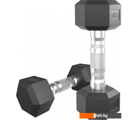  - Гантели, гири, штанги Unixfit DBHEX2.5 2.5 кг - DBHEX2.5 2.5 кг