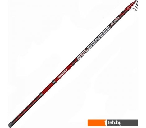 - Удилища Salmo Team Salmo Bolognese 5.00 5550-500 - Team Salmo Bolognese 5.00 5550-500