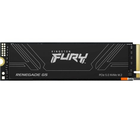  - SSD Kingston Fury Renegade G5 4TB SFYR2S/4T0 - Fury Renegade G5 4TB SFYR2S/4T0