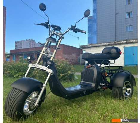  - Электросамокаты и электроскутеры Smart Balance X11 Trike 2024 (черный) - X11 Trike 2024 (черный)