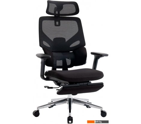  - Офисные кресла и стулья Evolution LumbarPro FR AL (черный) - LumbarPro FR AL (черный)