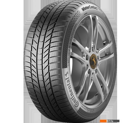 - Автомобильные шины Continental WinterContact TS 870 P 215/60R17 96H - WinterContact TS 870 P 215/60R17 96H
