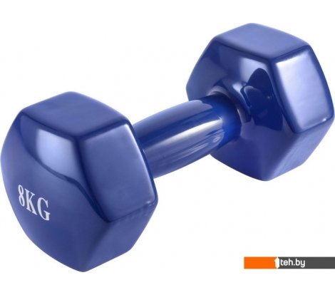  - Гантели, гири, штанги VictoryFit VF-DV080 8 кг - VF-DV080 8 кг