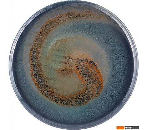  - Тарелки, салатники, блюда и наборы Gipfel Vortex 43212 (синий/зеленый) - Vortex 43212 (синий/зеленый)