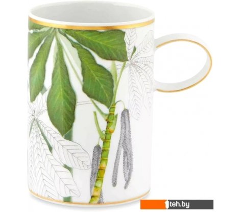  - Кружки, чашки, стаканы для горячих напитков Vista Alegre Amazonia 21133556 - Amazonia 21133556