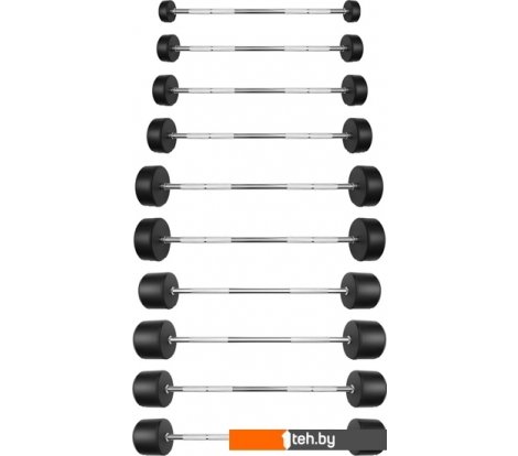  - Гантели, гири, штанги Bronze Gym BG-PA-BB-S10-55 10x(10-55 кг) - BG-PA-BB-S10-55 10x(10-55 кг)