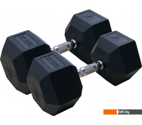  - Гантели, гири, штанги DFC DB001-32.5 2x32.5 кг - DB001-32.5 2x32.5 кг