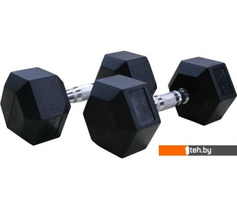  - Гантели, гири, штанги DFC DB001-42.5 2x42.5 кг - DB001-42.5 2x42.5 кг