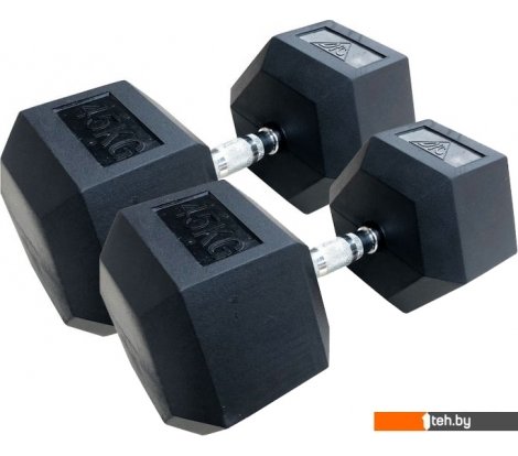  - Гантели, гири, штанги DFC DB001-45 2x45 кг - DB001-45 2x45 кг
