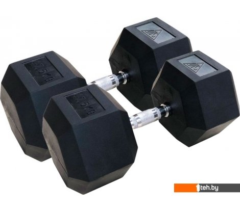  - Гантели, гири, штанги DFC DB001-47.5 2x47.5 кг - DB001-47.5 2x47.5 кг