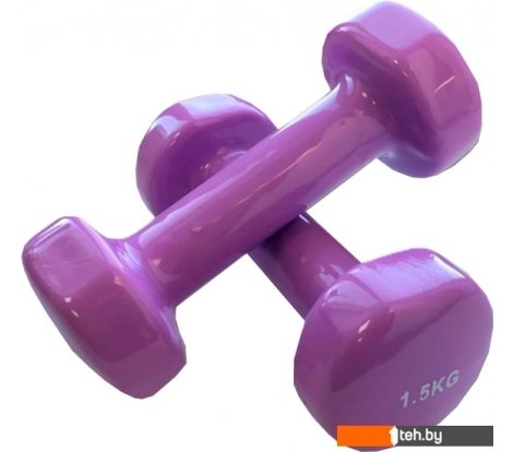  - Гантели, гири, штанги Indigo 92005 IR 2x1.5 кг (сиреневый) - 92005 IR 2x1.5 кг (сиреневый)
