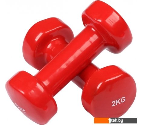  - Гантели, гири, штанги Indigo 92005 IR 2x2 кг (красный) - 92005 IR 2x2 кг (красный)