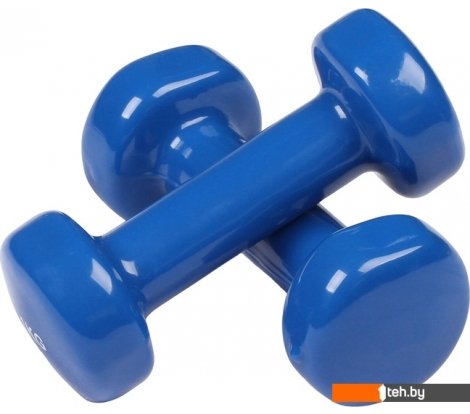  - Гантели, гири, штанги Indigo 92005 IR 2x2 кг (синий) - 92005 IR 2x2 кг (синий)