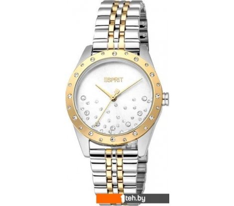 - Наручные часы Esprit ES1L405M0065 - ES1L405M0065
