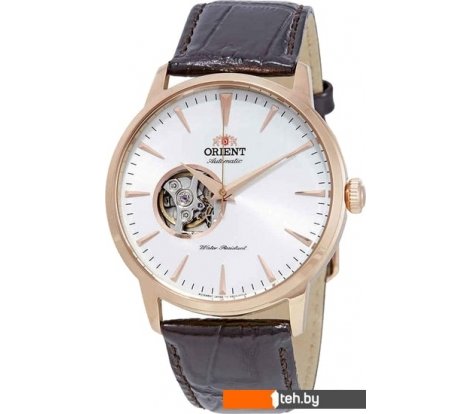  - Наручные часы Orient FAG02002W - FAG02002W