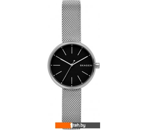  - Наручные часы Skagen SKW2596 - SKW2596
