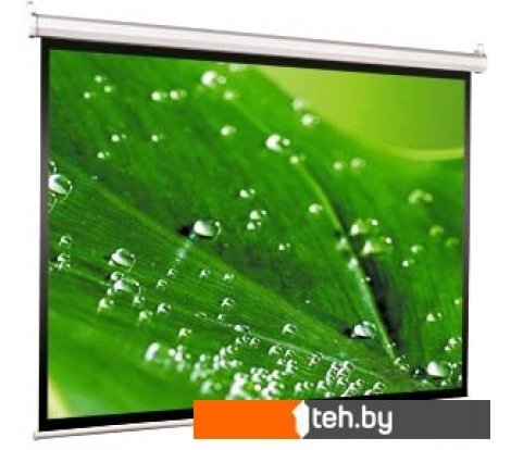  - Проекционные экраны ViewScreen Scroll 200x200 [WSC-1103] - Scroll 200x200 [WSC-1103]