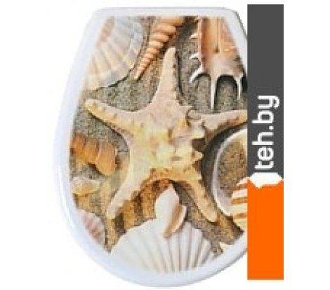  - Сиденья и крышки для унитазов и биде Bisk Lilia Foto 80379 (ракушка) - Lilia Foto 80379 (ракушка)