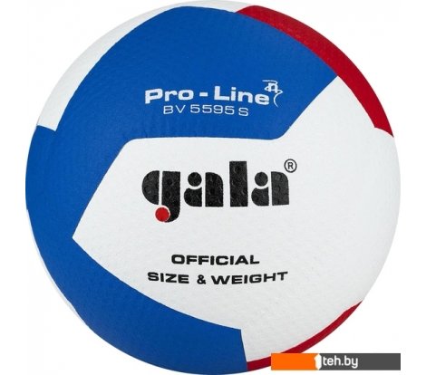 - Мячи Gala Pro-Line 12 BV 5595 SA (размер 5, белый/красный/голубой) - Pro-Line 12 BV 5595 SA (размер 5, белый/красный/голубой)