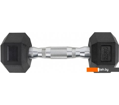  - Гантели, гири, штанги Torres PL519025 2.5 кг - PL519025 2.5 кг